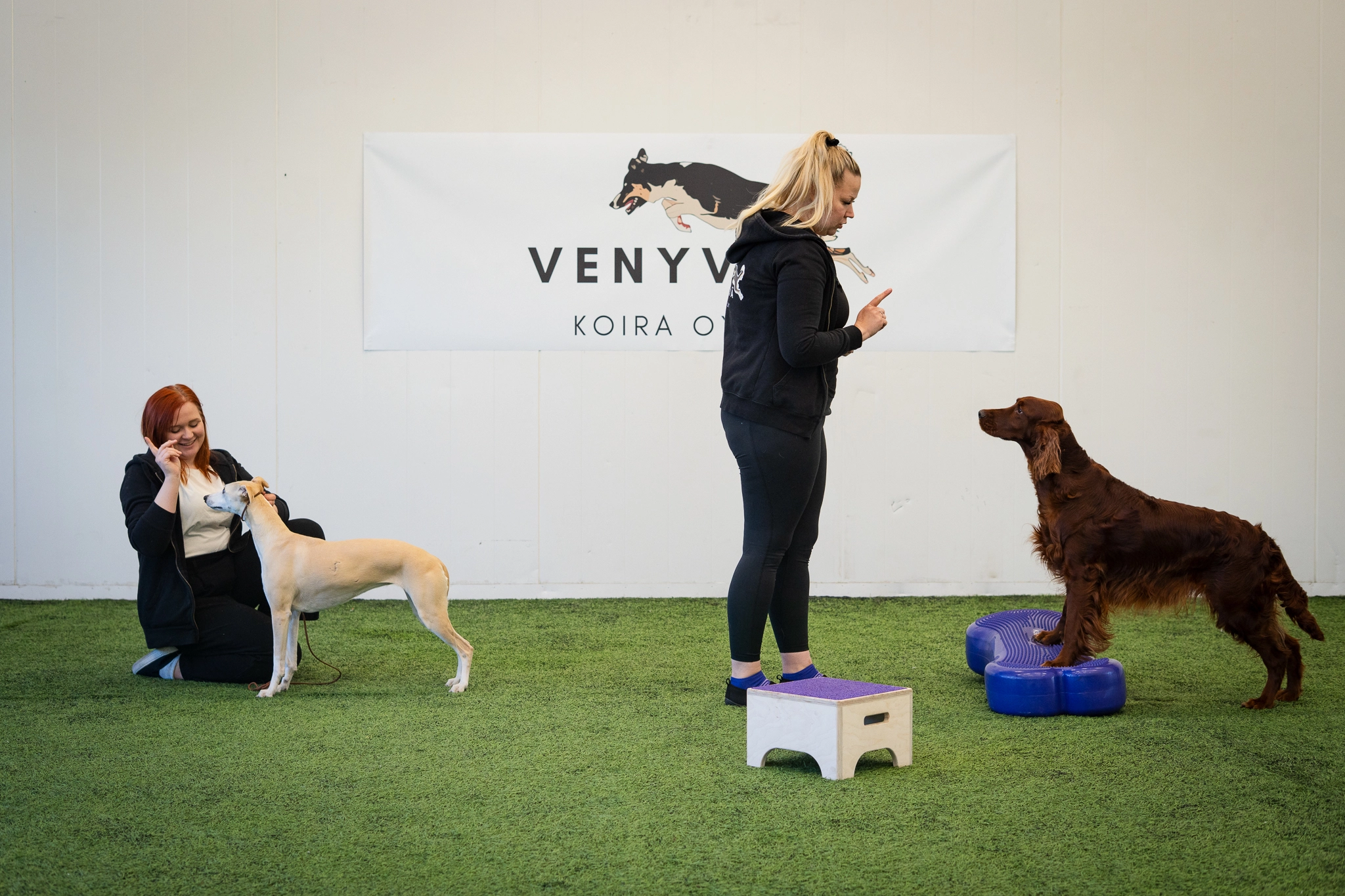 Agility- ja koirien harjoittelu HYPPY Treenihallissa