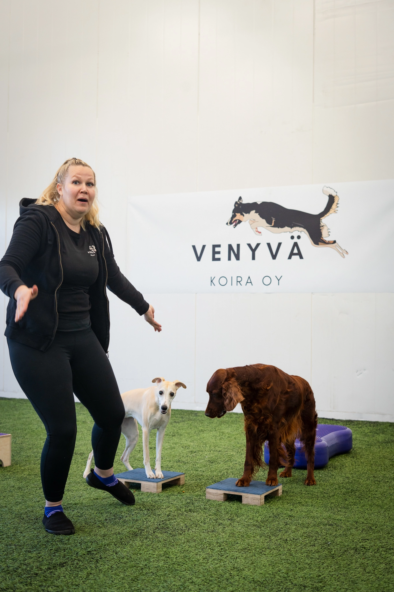 Koirien fysiikkaharjoittelu HYPPY Treenihallissa Tuusulassa